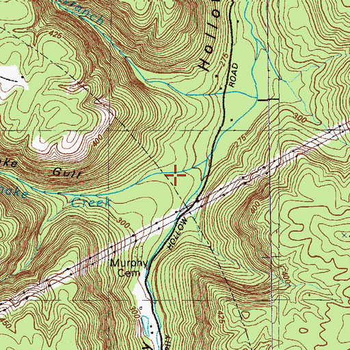 Topographic Map of Rattlesnake Gulf, GA