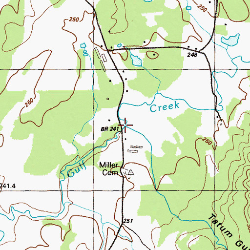 Topographic Map of Tatum Gulf Creek, GA