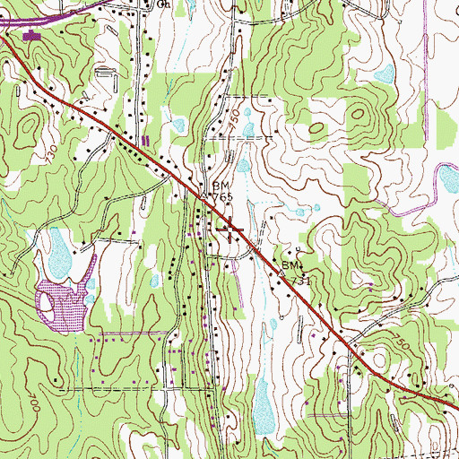 Topographic Map of Fellowship Church, GA