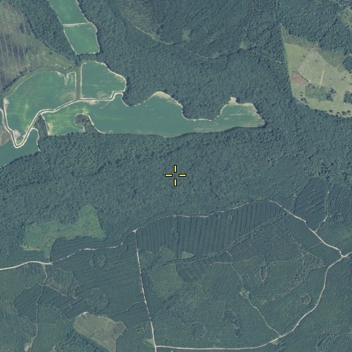 Aerial/Satellite Image of Upper Dugger Ford, GA
