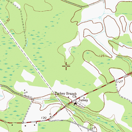 Topographic Map of Turkey Creek Church (historical), GA
