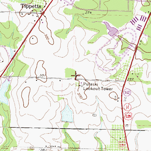 Topographic Map of Tippetts Pine Level Church, GA