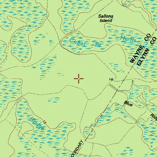 Topographic Map of Buck Pond (historical), GA
