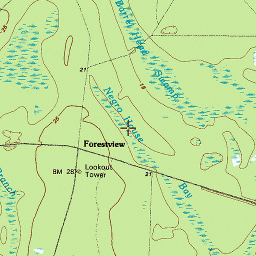 Topographic Map of Negro House Bay, GA