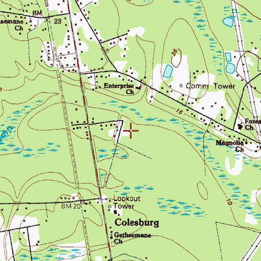 Topographic Map of Walker Swamp Island, GA