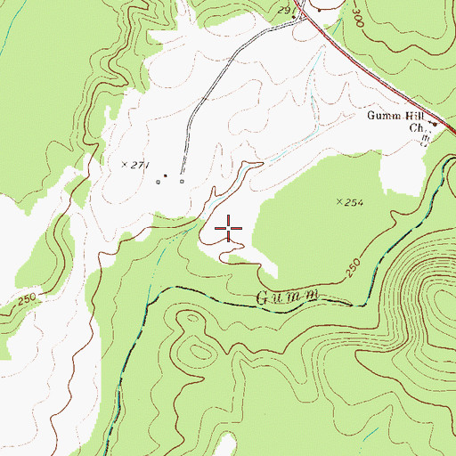 Topographic Map of Fowlers Store (historical), GA