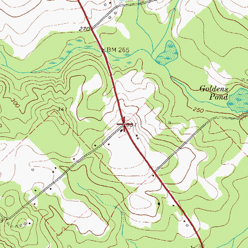 Topographic Map of Bloodworths Store (historical), GA