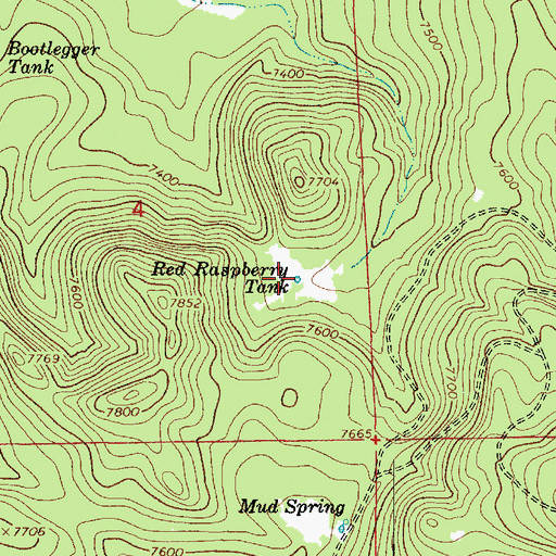 Topographic Map of Red Raspberry Tank, AZ