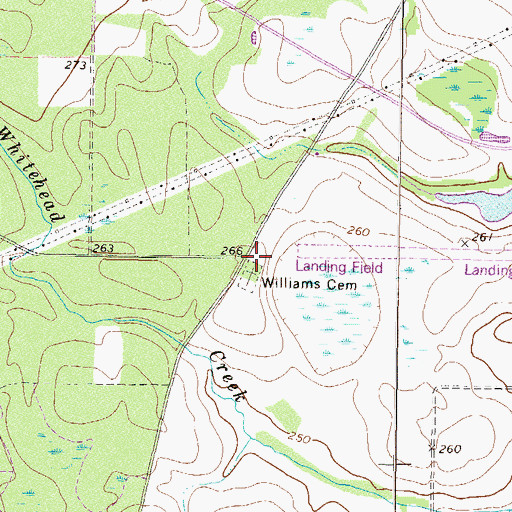 Topographic Map of Williams Chapel (historical), GA