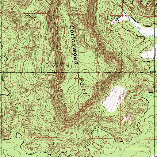 Topographic Map of Cottonwood Point, AZ
