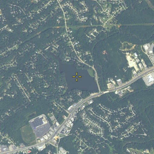 Aerial/Satellite Image of Lake Lucerne, GA