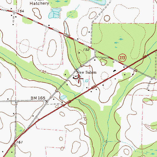 Topographic Map of New Salem Cemetery, GA