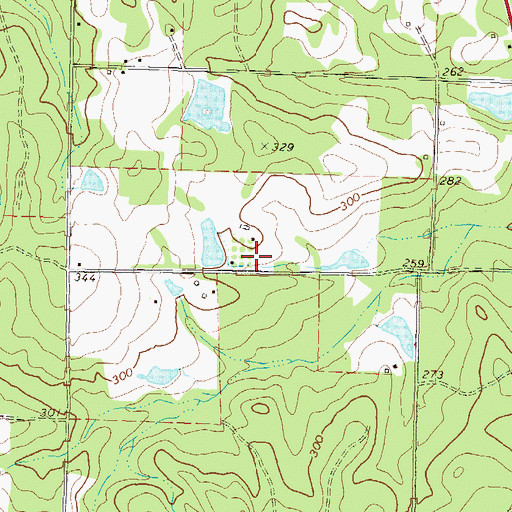 Topographic Map of Rinor Cemetery, GA