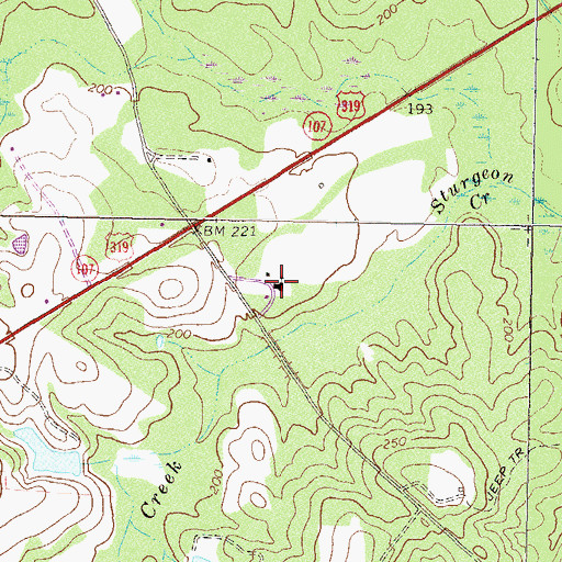 Topographic Map of Sturgeon Church, GA