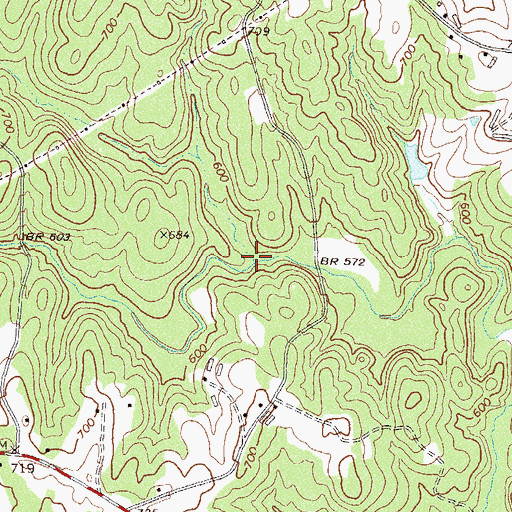 Topographic Map of Ward Branch, GA