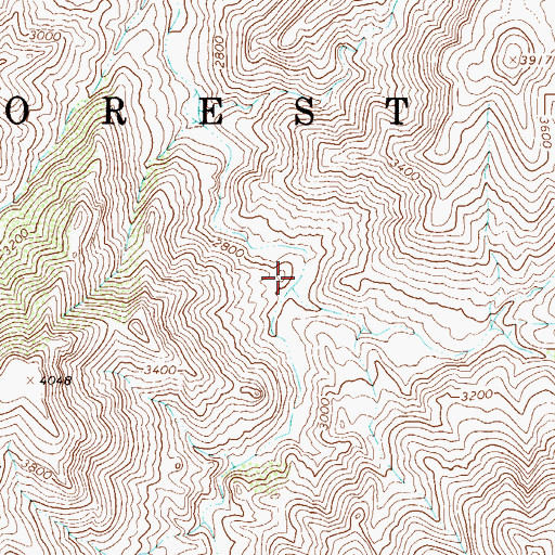 Topographic Map of Reavis Creek, AZ