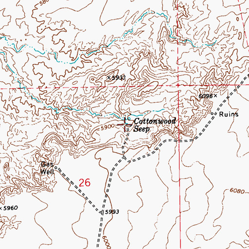Topographic Map of Cottonwood Seep, AZ