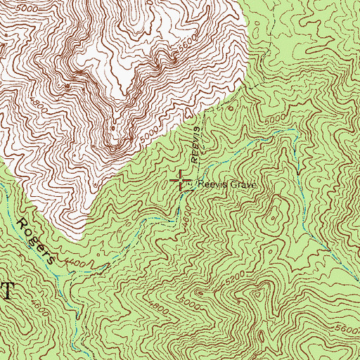 Topographic Map of Reevis Grave, AZ