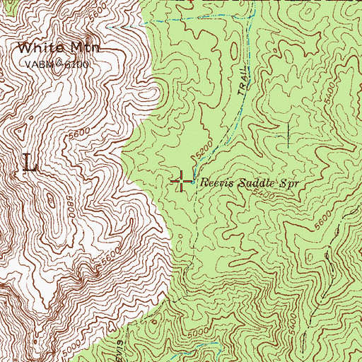 Topographic Map of Reavis Saddle Spring, AZ