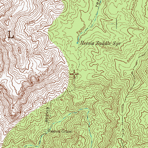 Topographic Map of Reevis Trail, AZ