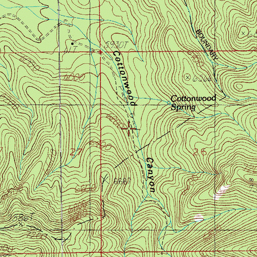 Topographic Map of Cottonwood Spring, AZ