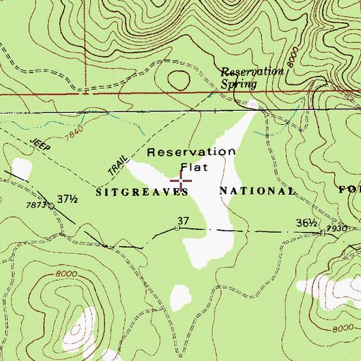 Topographic Map of Reservation Flat, AZ