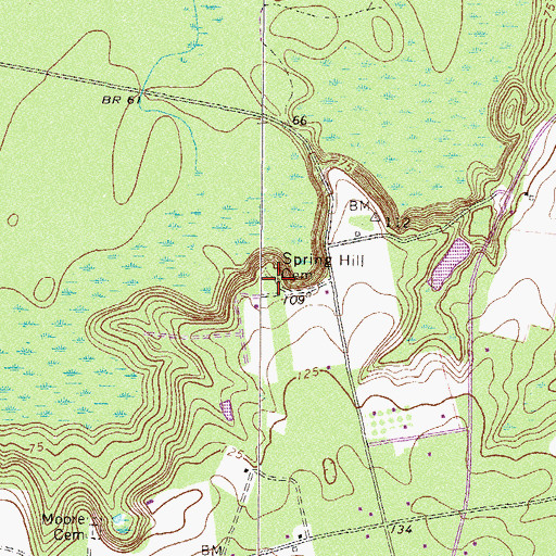 Topographic Map of Little Oak Grove Church, GA