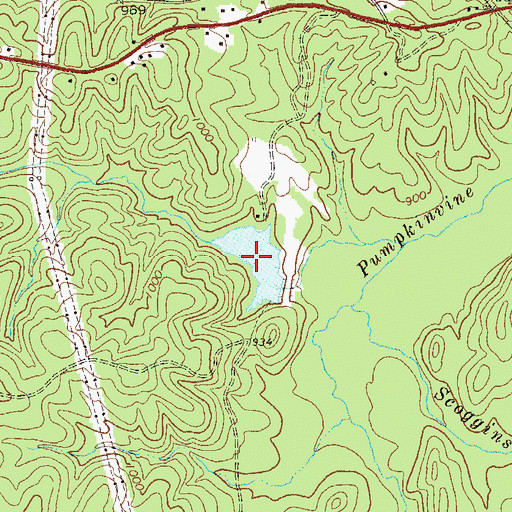 Topographic Map of Flint Lake, GA