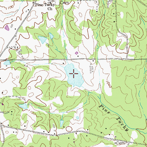 Topographic Map of Wessinger Lake, GA