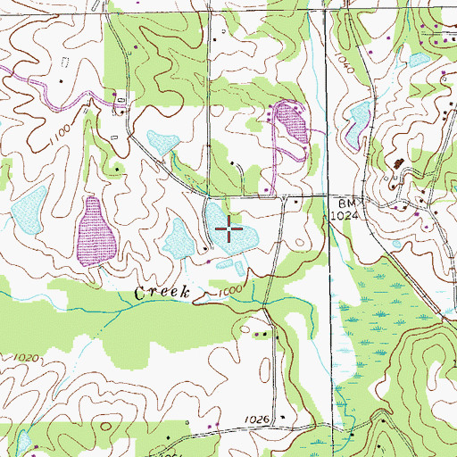 Topographic Map of Swins Lake A, GA