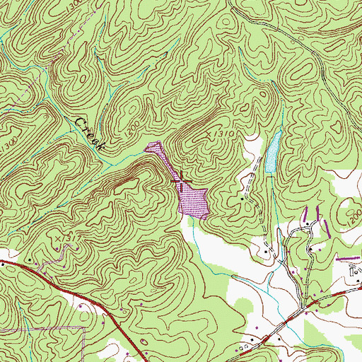 Topographic Map of Brice Lake, GA