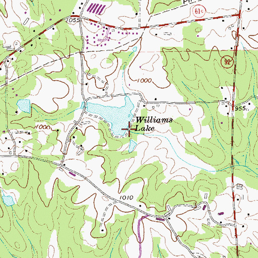 Topographic Map of Williams Lake Dam, GA
