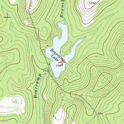 Topographic Map of Bearcamp Lake Dam, GA