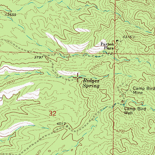 Topographic Map of Ridges Spring, AZ