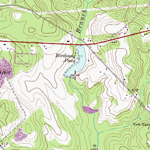 Topographic Map of Birdsong Pond Dam, GA