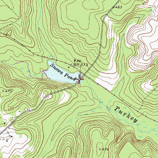 Topographic Map of Snows Pond Dam, GA