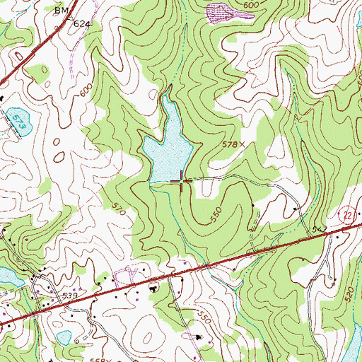 Topographic Map of Moore Lake Dam, GA
