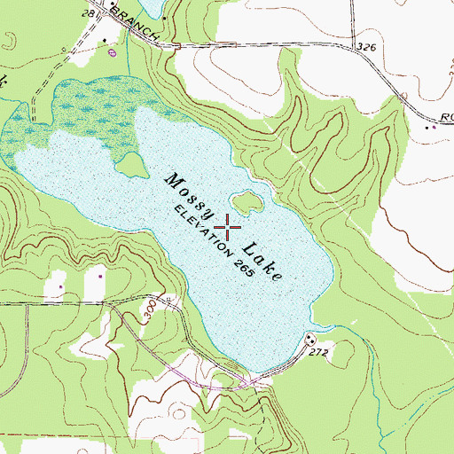 Topographic Map of Mossy Lake Dam, GA
