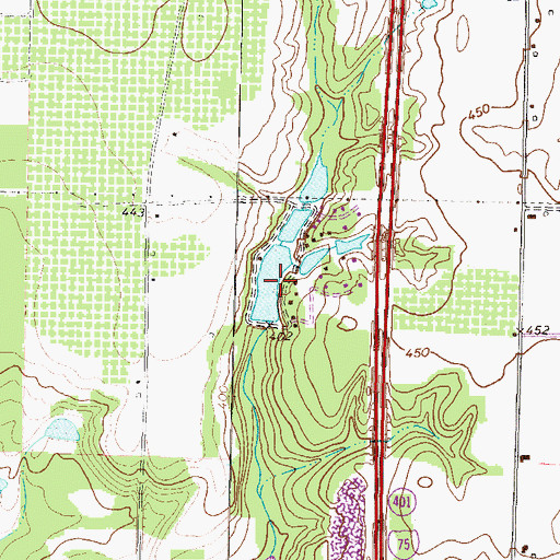 Topographic Map of Frances Fountain Dam, GA