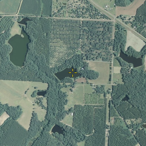 Aerial/Satellite Image of Lake Blue Bird Dam, GA