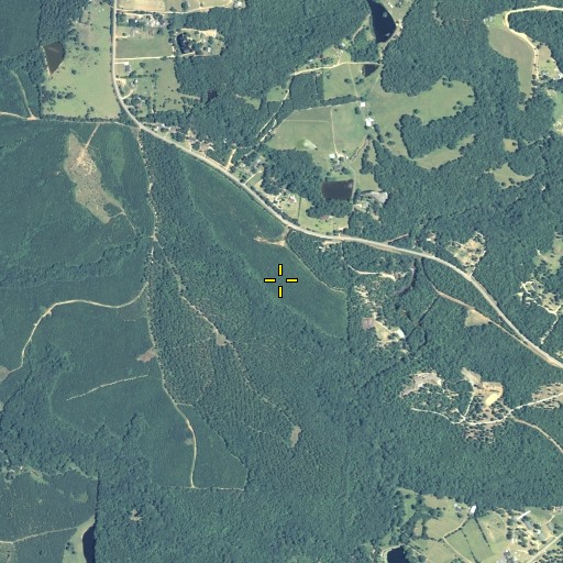 Aerial/Satellite Image of Herds Pond, GA