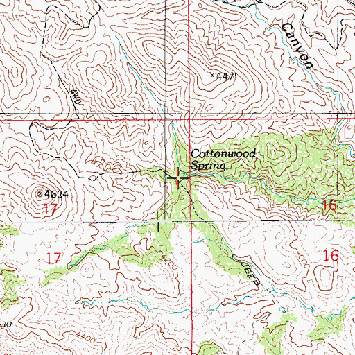 Topographic Map of Cottonwood Spring, AZ