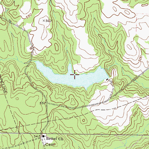 Topographic Map of Ray Lake, GA