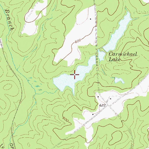 Topographic Map of Lower Carmichael Lake, GA