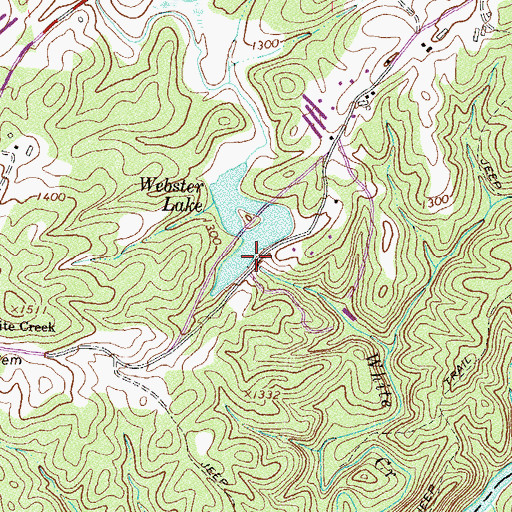 Topographic Map of Webster Lake Dam, GA