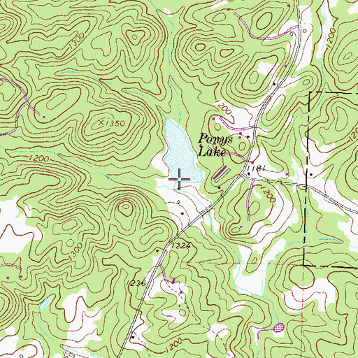 Topographic Map of Ponys Lake Dam, GA