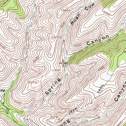 Topographic Map of Roan Cow Canyon, AZ