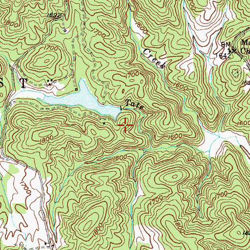Topographic Map of Rodgers Lake Dam, GA