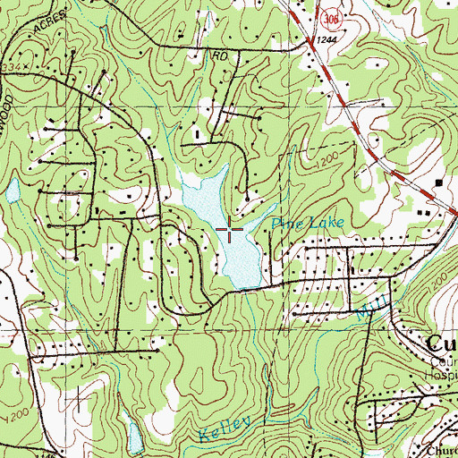Topographic Map of Pine Lake, GA