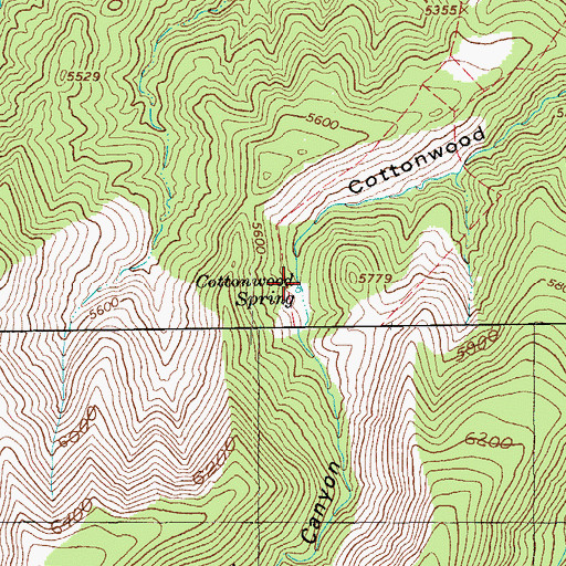 Topographic Map of Cottonwood Spring, AZ